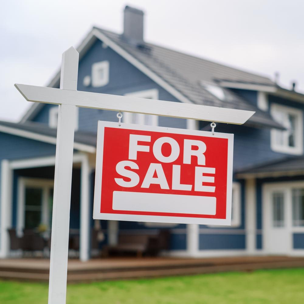 List with Deniese Ossey