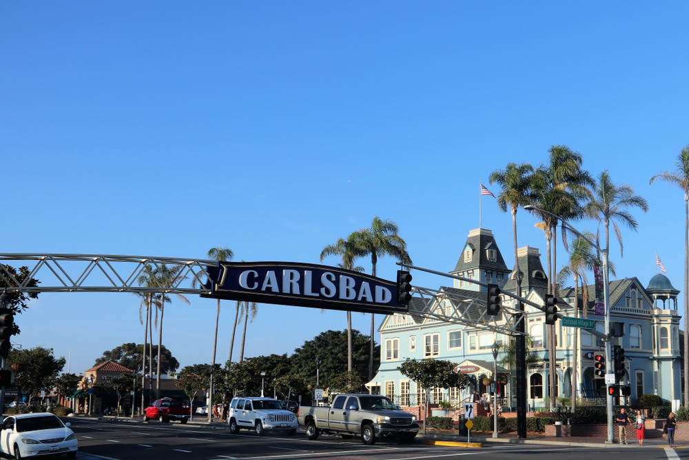 Professional Real Estate Agent in Carlsbad, CA