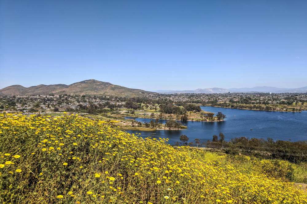 Professional Real Estate Agent in La Mesa, CA